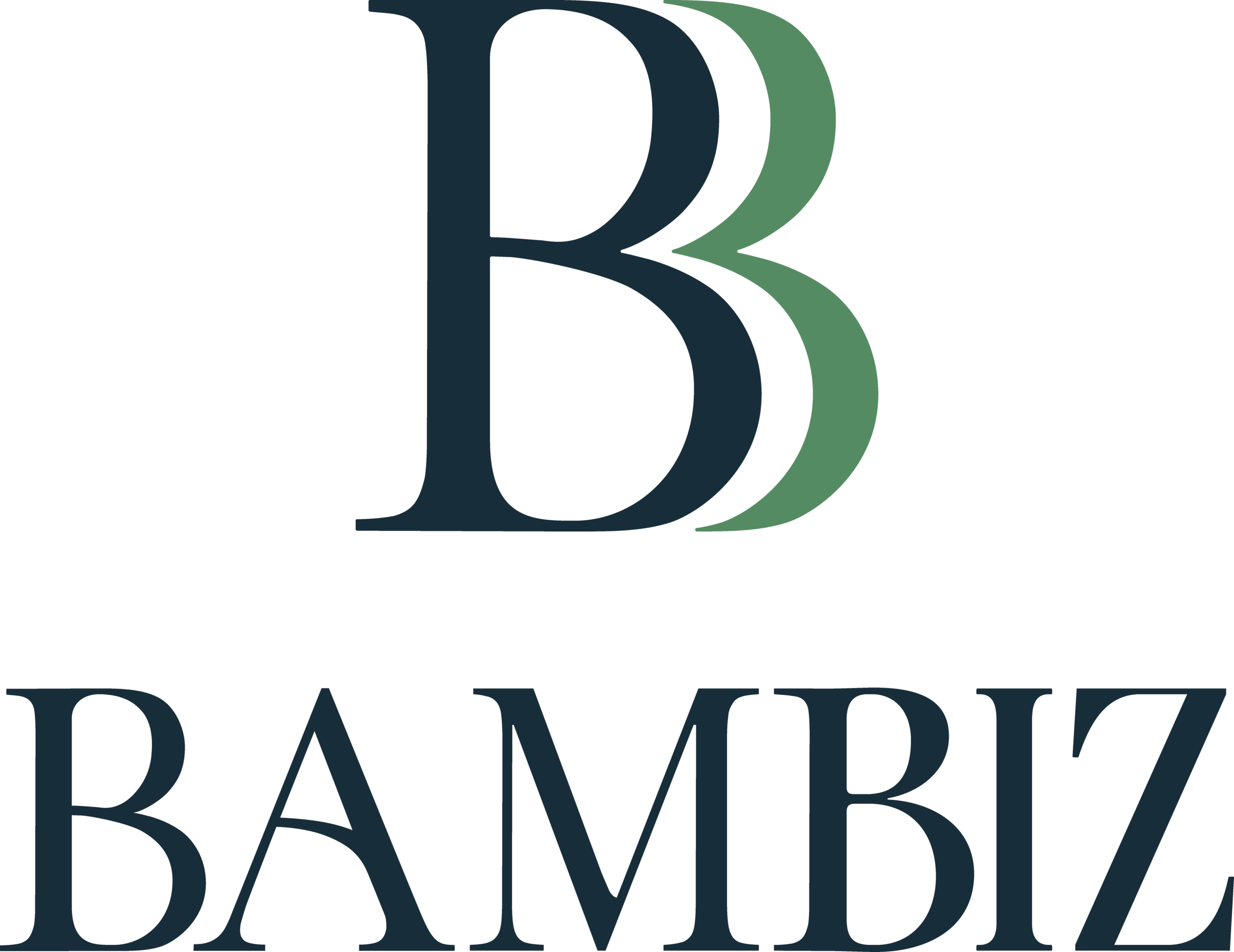 Sponsor Logo - Bambiz